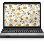 flower shop computer